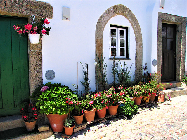 Flowers of Marvão