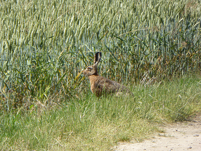 unterwegs getroffen