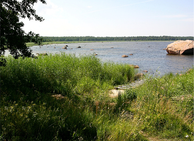 Ostsee-Findlinge bei Altja