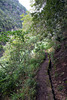 Trockener Januar, heisst trockene Levada