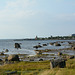 Берег Белого моря у поселка Рабочеостровск