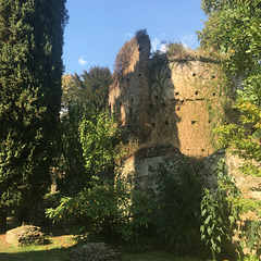 Ruins of the medieval town.