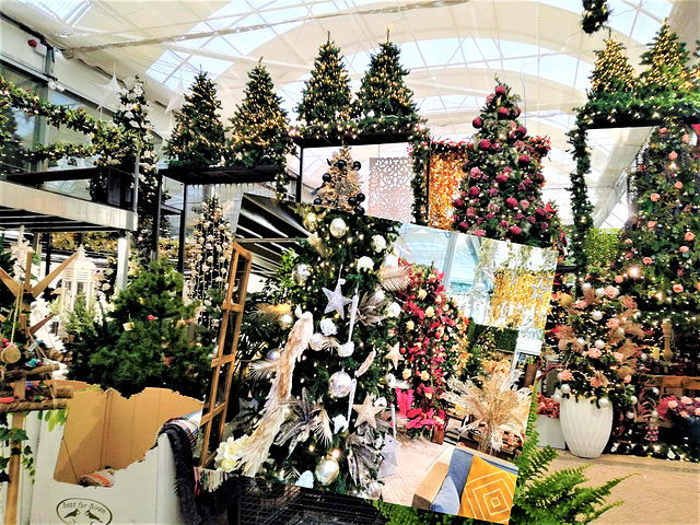 Who sells Christmas starts Christmas earlier