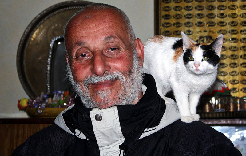 Le Voisin et ses chats.