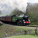 B.1 61306 MAYFLOWER on 10.30 Grosmont to Pickering at Esk Viaduct NYMR 40th Aniversary Steam Gala 11th May 2013