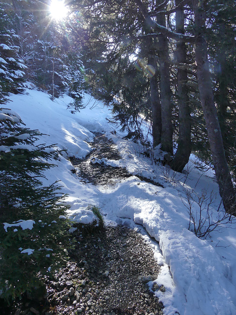 20180113 Raquettes Vercors Moucherotte (50) al