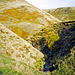 View of Foul Clough running down to join Abbey Brook (Scan from 1989)