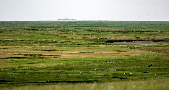 Burton Marshes looking towards Hilbre from the hill fort