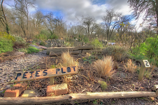 Langdon Nature Reserve   /   Feb 2022