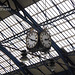 Brighton station clock 27 6 2011