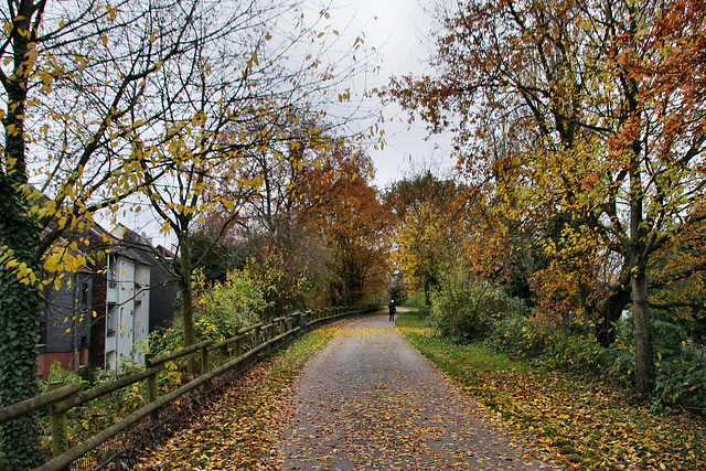 Radweg HOAG-Trasse (Oberhausen-Sterkrade) / 20.11.2021