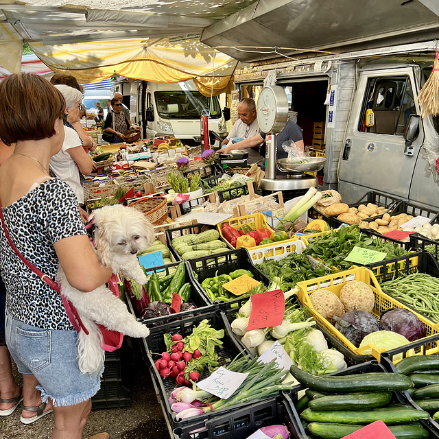 Fano 2023 – Market