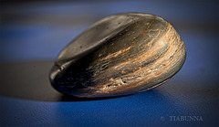 Pebble macro