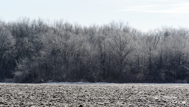 'Twas Frosty this Morning