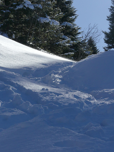 20180113 Raquettes Vercors Moucherotte (55) al