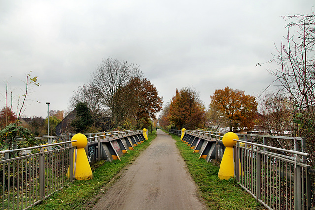 Auf der alten HOAG-Werksbahnbrücke (Oberhausen-Sterkrade) / 20.11.2021