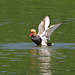 parc des oiseaux - Villars les Dombes