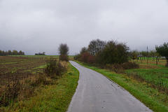 A Walk in the Rain V
