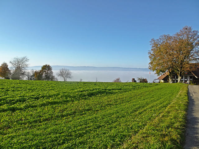 Ein Platz an der Sonne