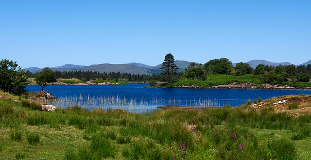 See auf der Beara Halbinsel