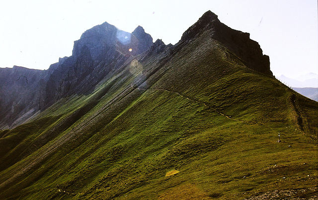 Finde den Zaun (HFF)