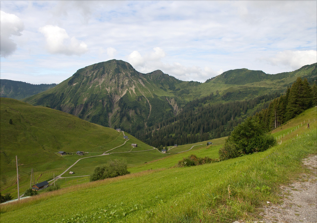 Im 'Großen Walsertal'