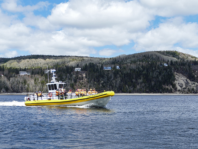 Day 11, whale-watching Zodiac, Tadoussac