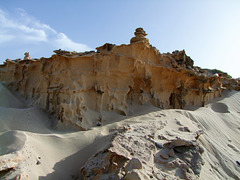 Tertiärer Strandsandstein als Kliff mit versteinerten Mangrovenwurzeln