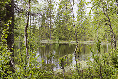 Unterwegs in Westschweden: von Idre nach Gäddede