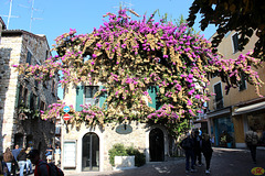 2025-10-17 70 Garda