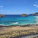 We Might Remember this as Shark Beach We Might Remember this as Shark Beach
