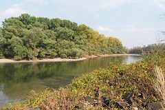 Am Rheinarm