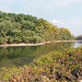 Am Rheinarm