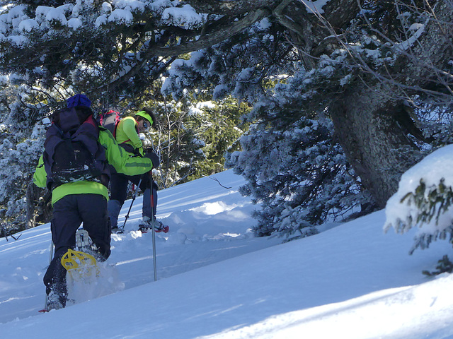 20180113 Raquettes Vercors Moucherotte (64) al