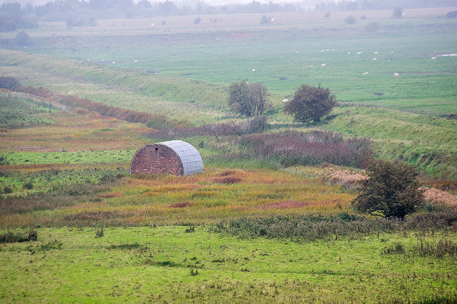 Burton marshes