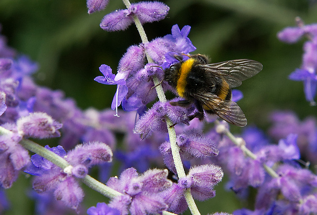 En équilibre. En équilibre.