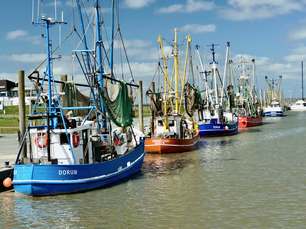 Kutterhafen  (pip)