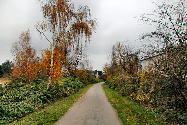 Radweg auf der ehemaligen HOAG-Trasse (Oberhausen-Sterkrade) / 20.11.2021