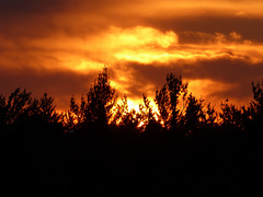 Kein Waldbrand - Sonnenuntergang in Ontario Kein Waldbrand - Sonnenuntergang in Ontario