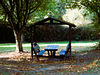 l'automne entre mer et campagne,