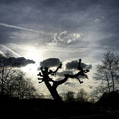 Sunset with a tree