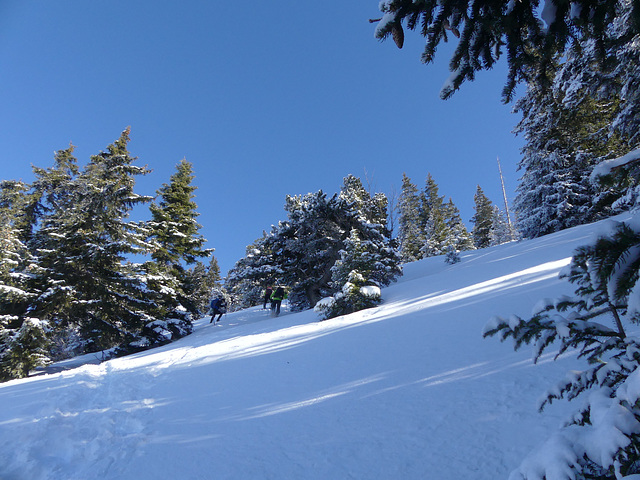 20180113 Raquettes Vercors Moucherotte (65) al