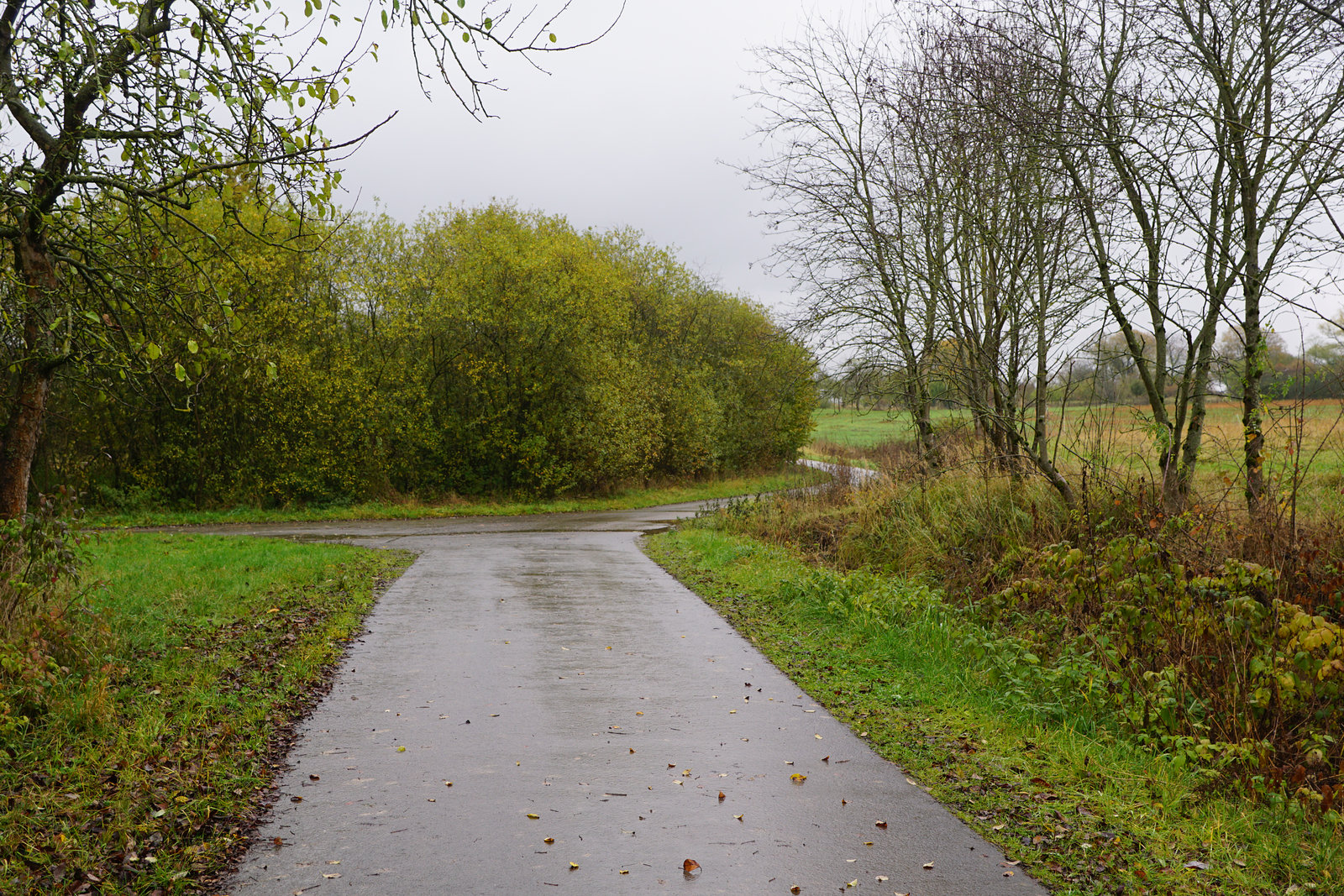 A Walk in the Rain II