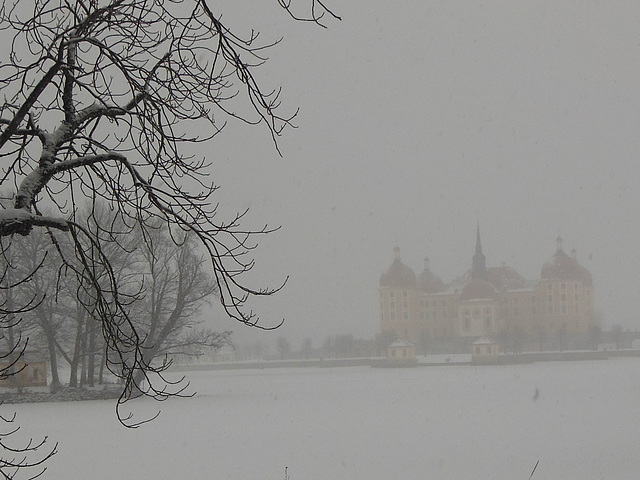 Schloss im Winterdunst