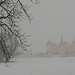 Schloss im Winterdunst