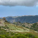 IMG 0688-2