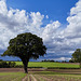 Shropshire fields Shropshire fields