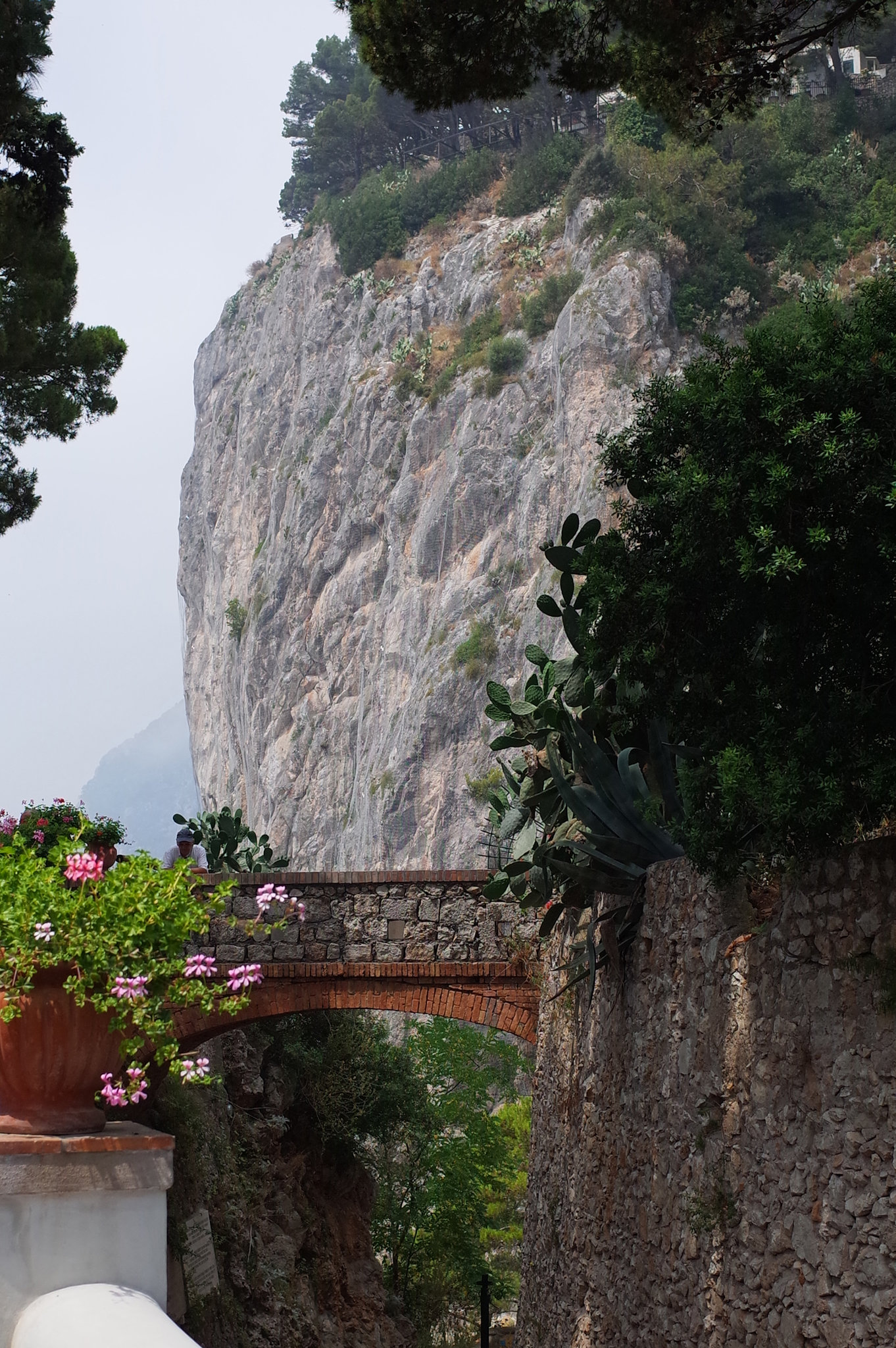 Capri GR 5