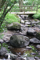 Le petit pont de bois