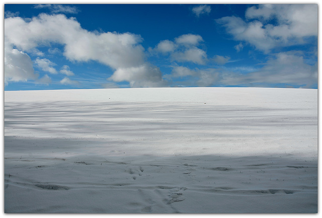 Snow Field